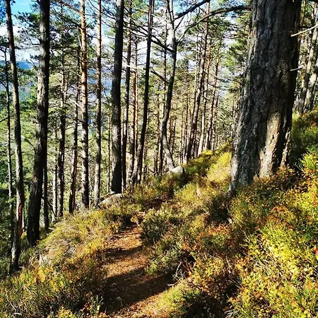 Le De La Grande Vallee - Vue Exceptionnelle * Orbey