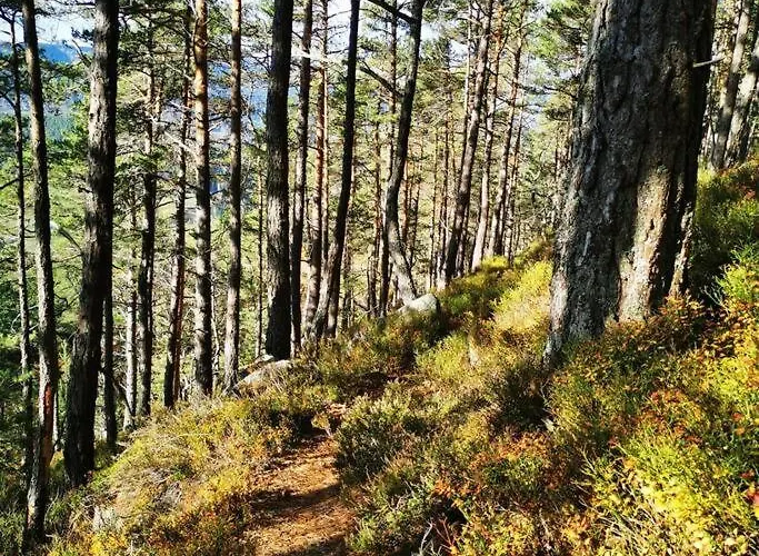 Le De La Grande Vallee - Vue Exceptionnelle * Orbey